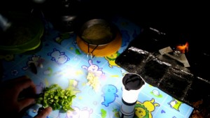 夜クスクス_ピーマン