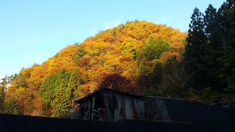 駐車場からの山の色づき