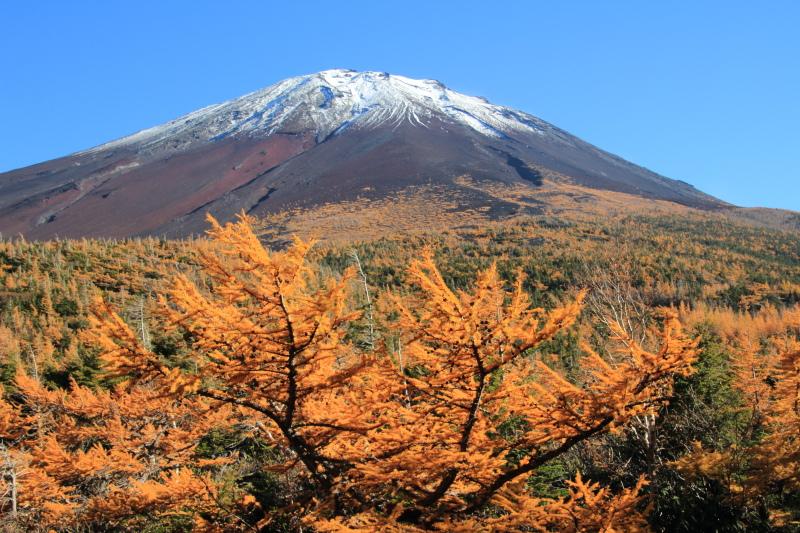 富士スバルライン奥庭の紅葉 ソライロノヲト