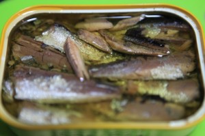 オイルサーディン
