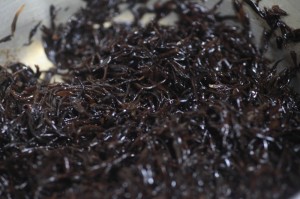 ごぼうと大根と大豆入りひじきの煮物_工程3