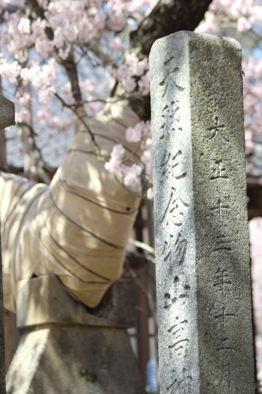 山高神代桜_石碑