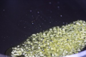 鶏手羽元のポン酢煮★柚子胡椒和え_工程2