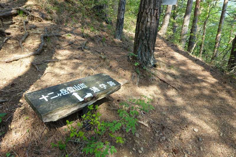 通学路分岐の道標