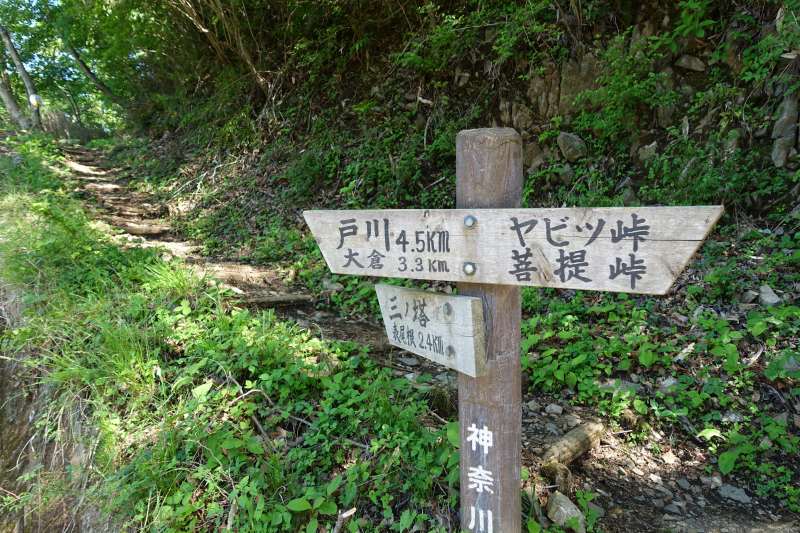 0859_牛首の登山道口の道標