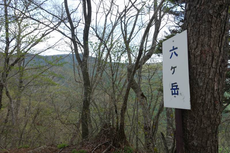 六ヶ岳の道標