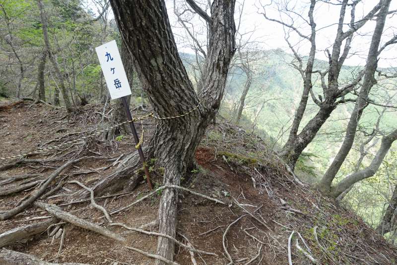 九ヶ岳の道標