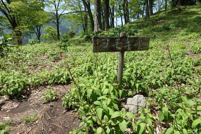 1303_蓬平の道標