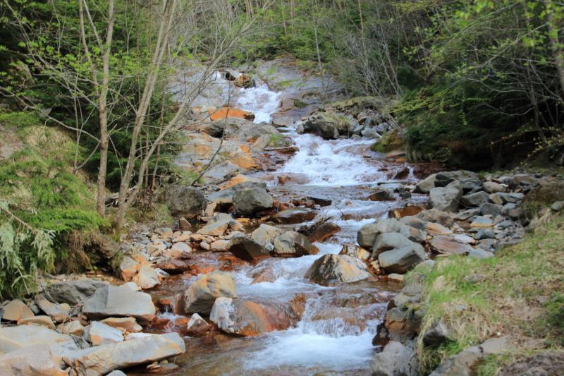 柳川北沢