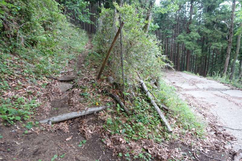 1550_登山道分岐