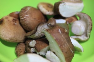 椎茸とわらびの煮物_工程1_椎茸