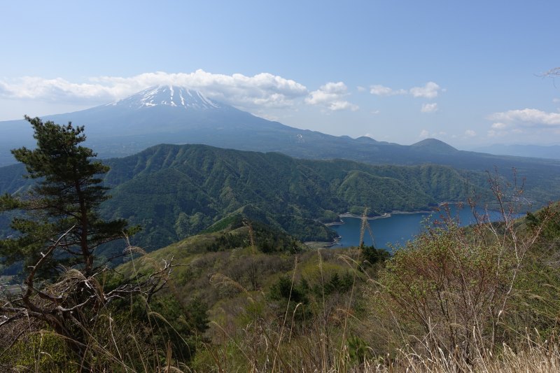 西湖と富士