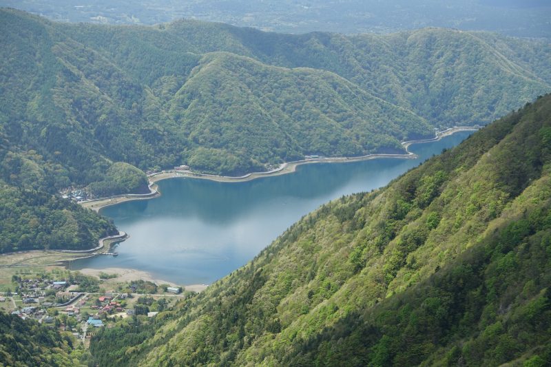 西湖の湖面