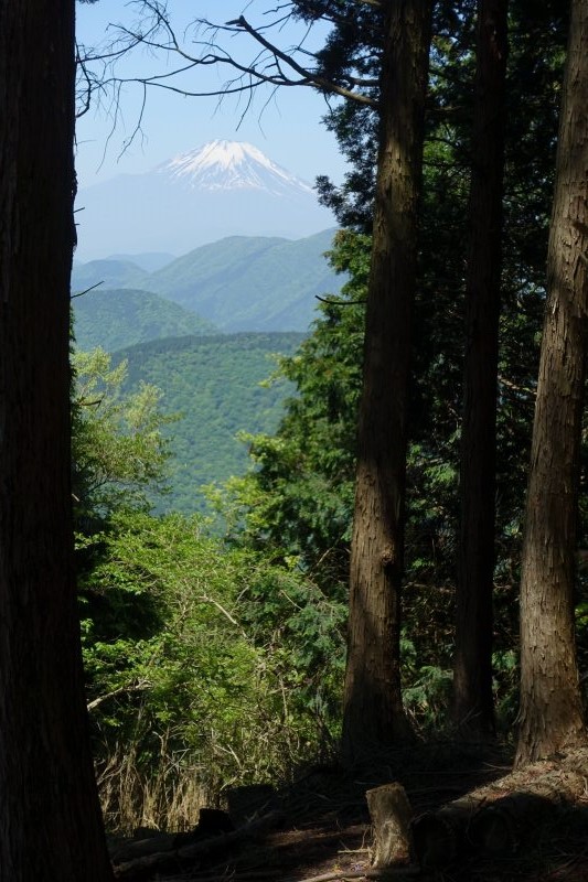 1016_富士山