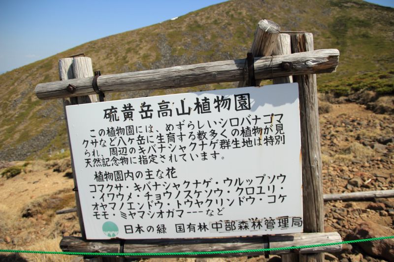 硫黄岳高山植物園