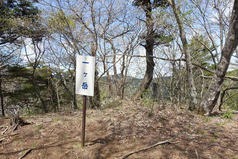 一ヶ岳の道標