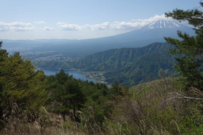 河口湖と富士