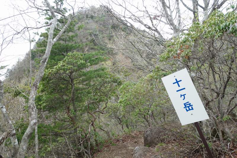 十一ヶ岳の道標