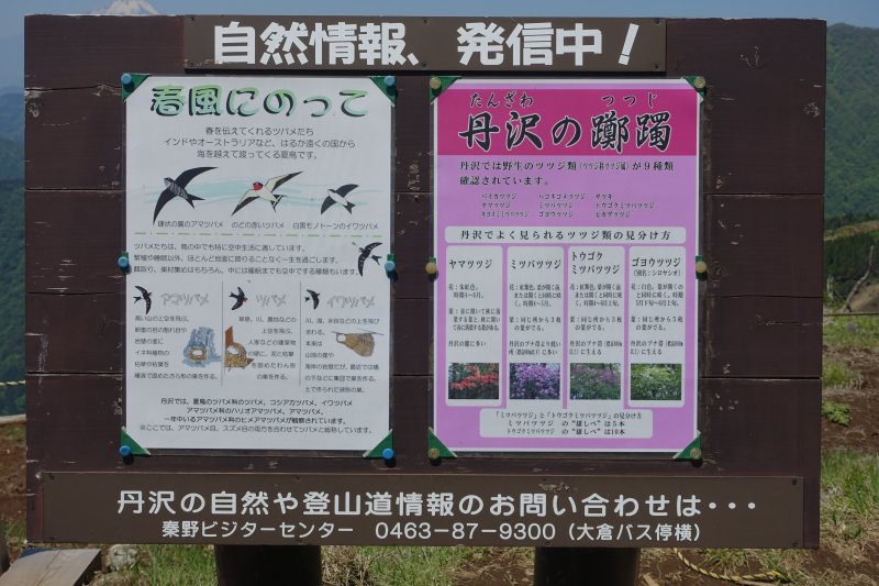 1048_丹沢の自然情報