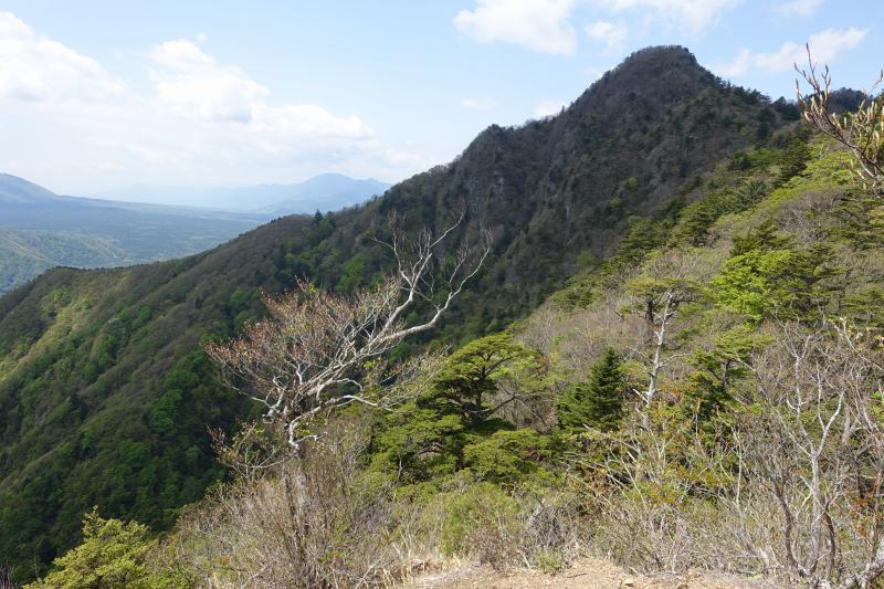 四ヶ岳付近からみた十二ヶ岳