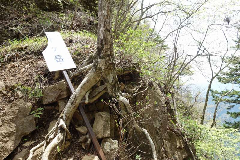 十ヶ岳の道標