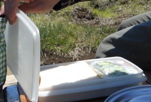 山でカツサンドが食べたい!_下準備工程10