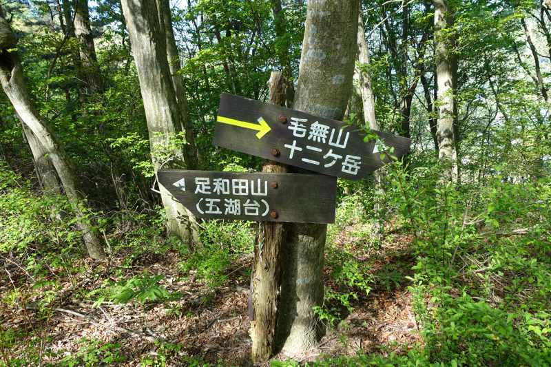 足和田山分岐の道標