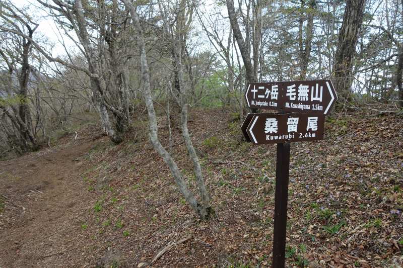 桑留尾分岐の道標