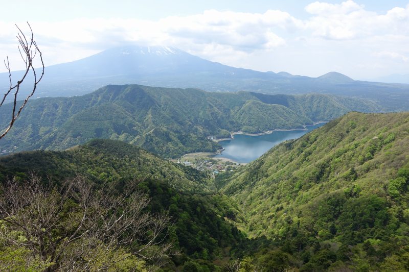富士と西湖