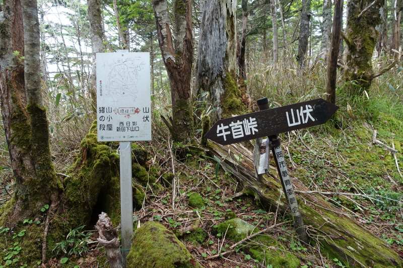 西日影沢分岐の道標