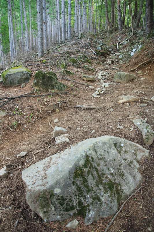 登山道