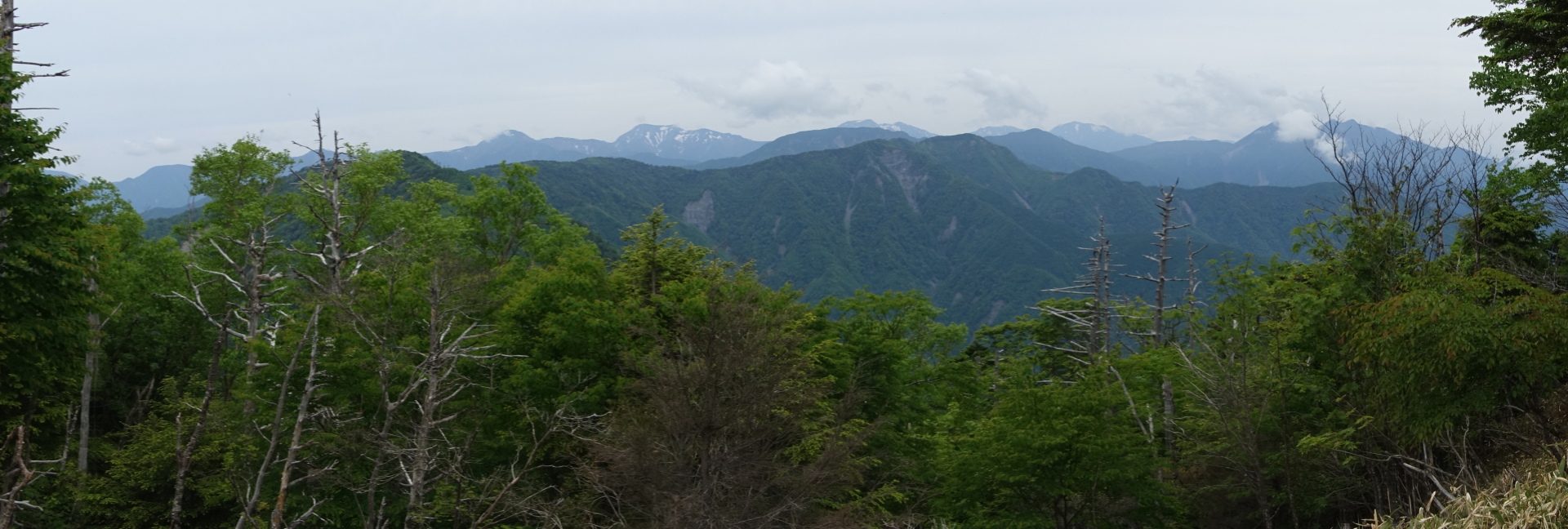 山伏岳から見た南アルプス(パノラマ)