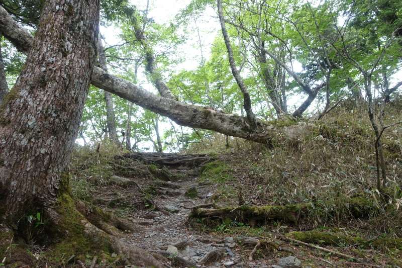 山伏の登山道