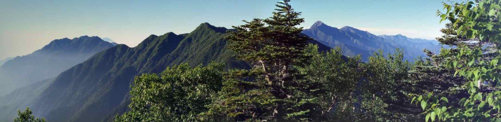 Googleフォトが勝手に作ったパノラマ写真(甲斐駒ケ岳登山道から)