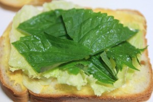 梅そぼろのスイートチリサンドイッチ_工程5