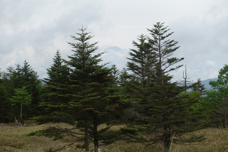 富士山の頭