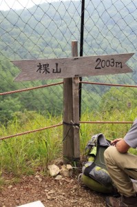 裸山の道標