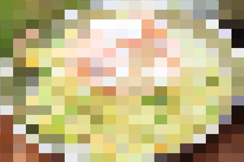 乾徳山で山パスタ_モザイク