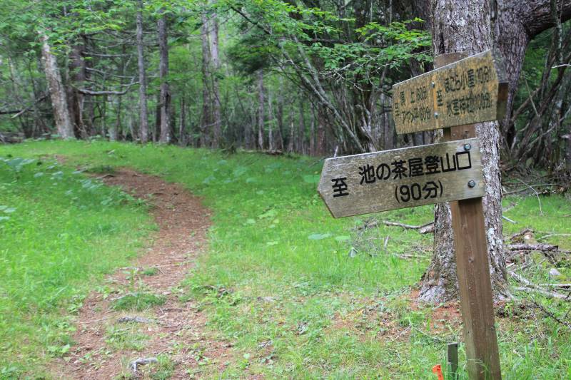 池の茶屋登山口分岐の道標