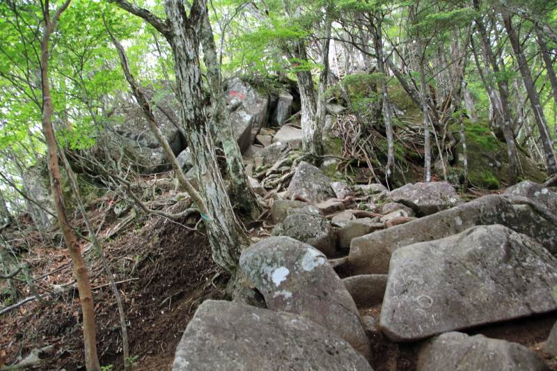 岩場の始まり