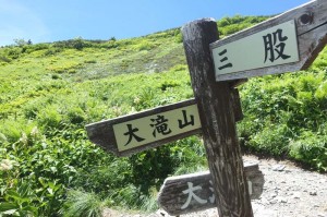 大滝山分岐