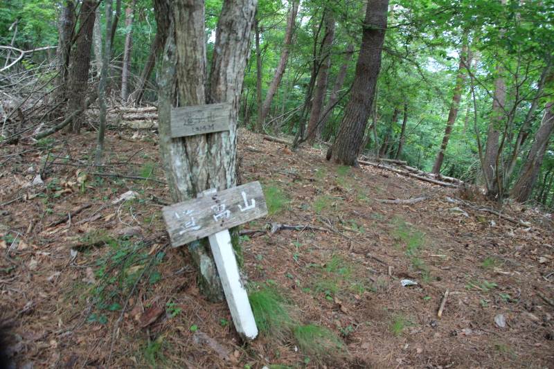 道満山の道標