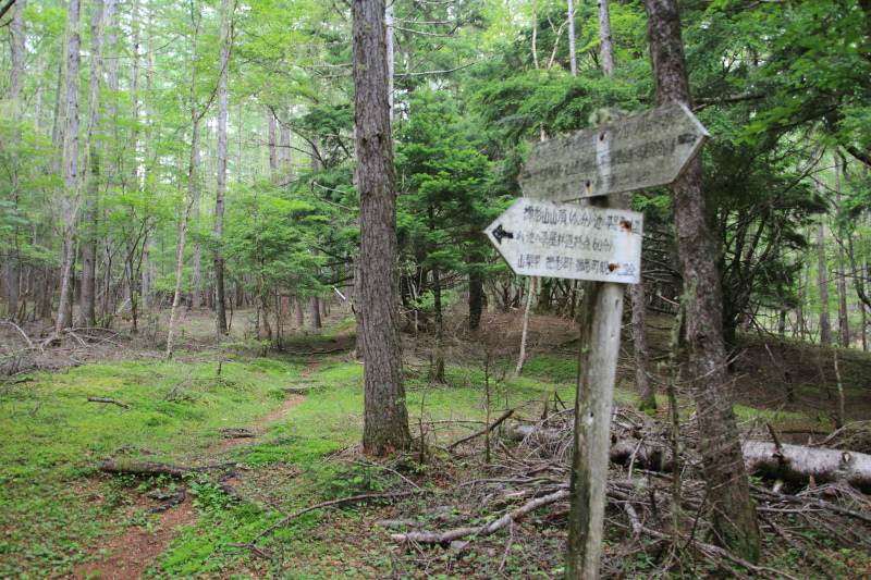 山頂分岐の道標