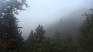 太郎坂からの風景