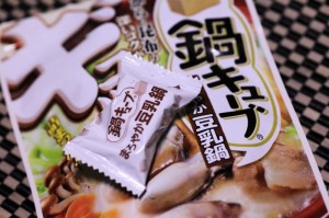 豆乳鍋キューブ