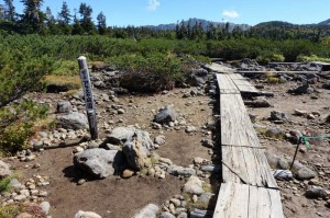 1017_アラスカ庭園の道標