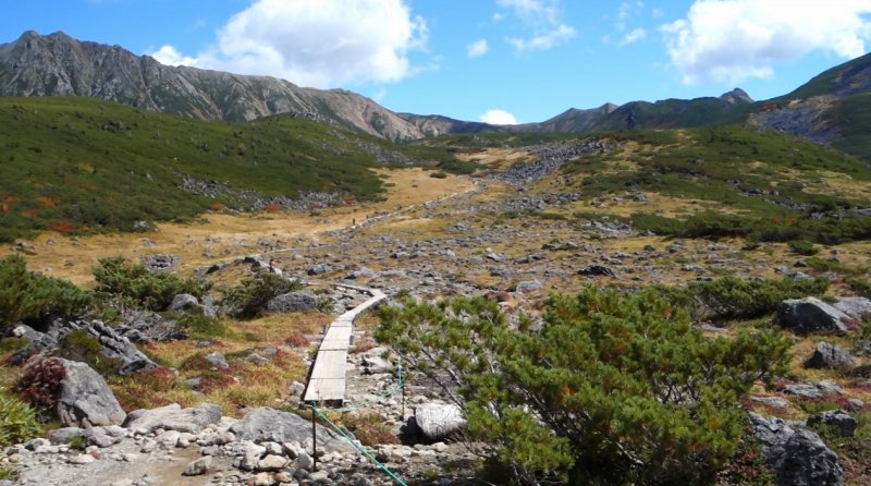 1131_雲ノ平山荘からキャンプ場に向かう木道