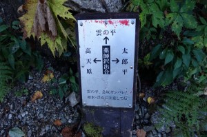 0731_薬師沢出合の道標