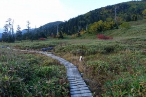 0558_整備された木道と山の色づき