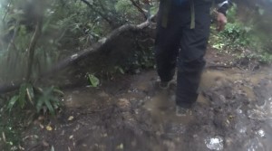 トレイルの水たまり